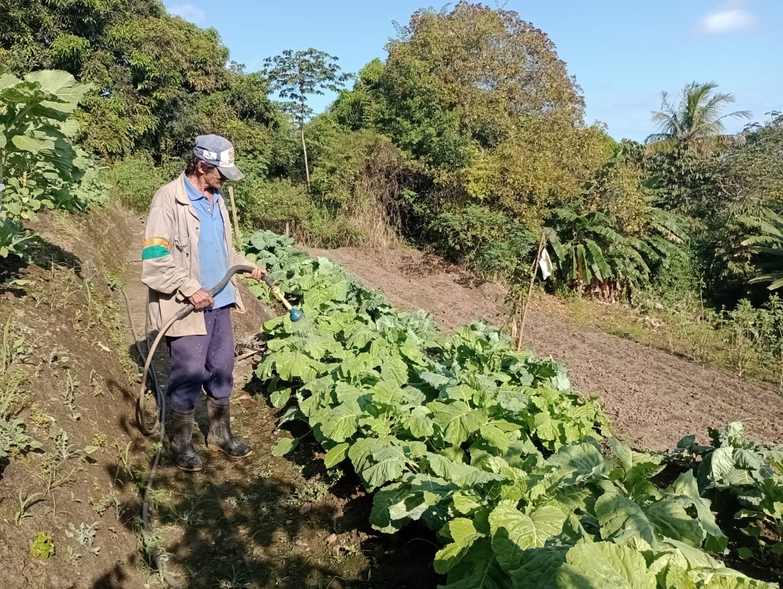 Extensionistas e agricultores em atividade de campo
